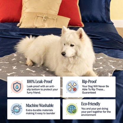 WashPaw Reusable Pee Pad for Dogs
